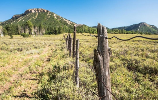 Applications Now Open for Esteemed Hunting Permits at Colorado's Lone Mesa State Park Near Dolores