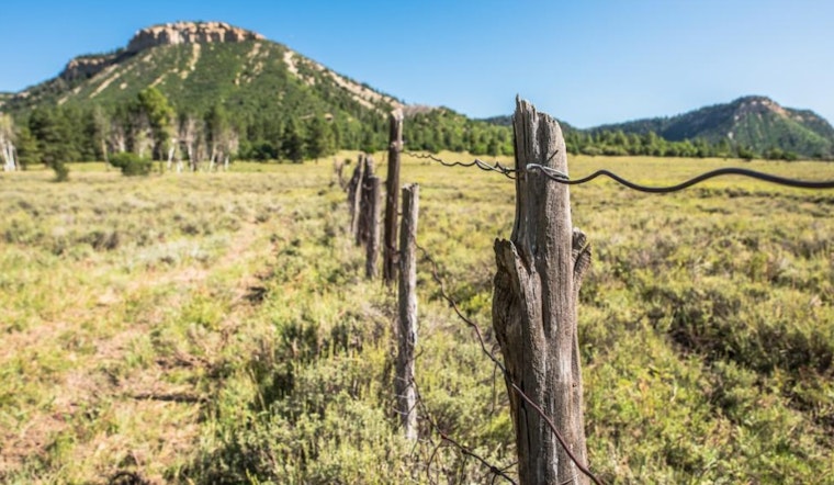 Applications Now Open for Esteemed Hunting Permits at Colorado's Lone Mesa State Park Near Dolores