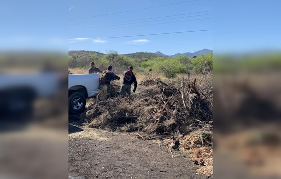 Arizona Communities Mobilize for Wildfire Preparedness Day with Local Mitigation Efforts in Oracle and Phoenix