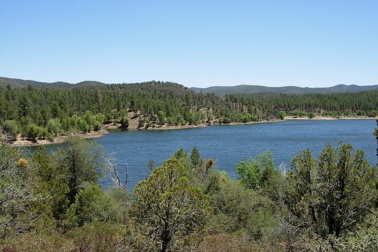 Arizona's Healthy Forest Initiative Launches New Wildfire Mitigation Efforts in Yavapai County
