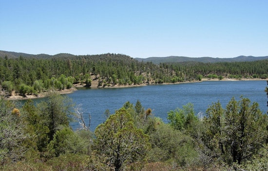 Arizona's Healthy Forest Initiative Launches New Wildfire Mitigation Efforts in Yavapai County