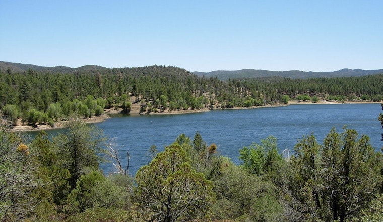 Arizona's Healthy Forest Initiative Launches New Wildfire Mitigation Efforts in Yavapai County