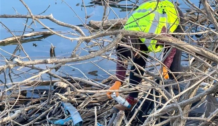 Arlington Invites Locals to Lake Cleanup Initiative Ahead of 2026 FIFA World Cup Matches