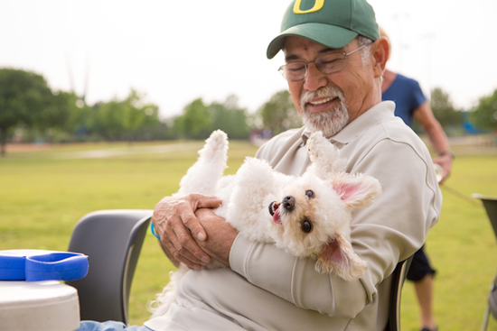 Arlington Springs into Social Sunshine: Packed Calendar of May Events from Tea to Treasure Hunts