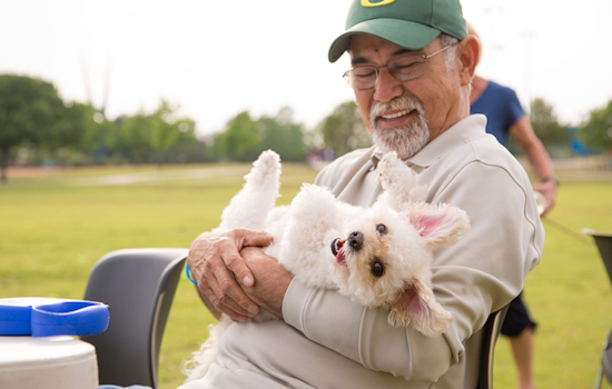 Arlington Springs into Social Sunshine: Packed Calendar of May Events from Tea to Treasure Hunts