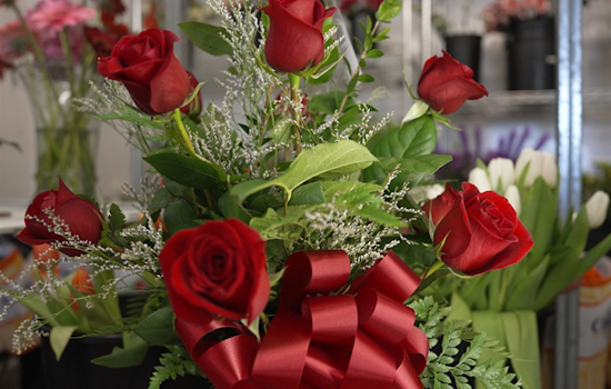 Arlington's H.E. Cannon Floral: A Blossoming Legacy from 1893 to Modern Day