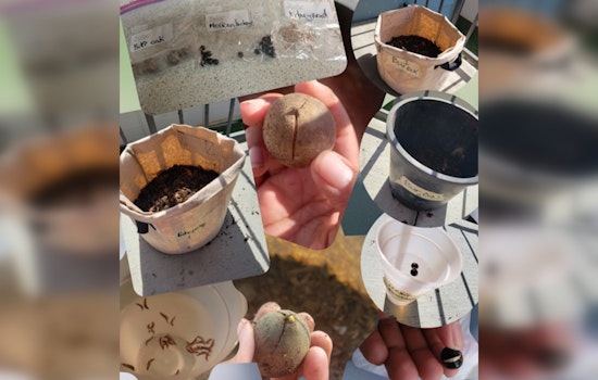 Austin Teen Cultivates Urban Forest from Apartment Balcony with Keep Austin Beautiful and TreeFolks Collaboration