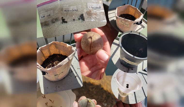 Austin Teen Cultivates Urban Forest from Apartment Balcony with Keep Austin Beautiful and TreeFolks Collaboration