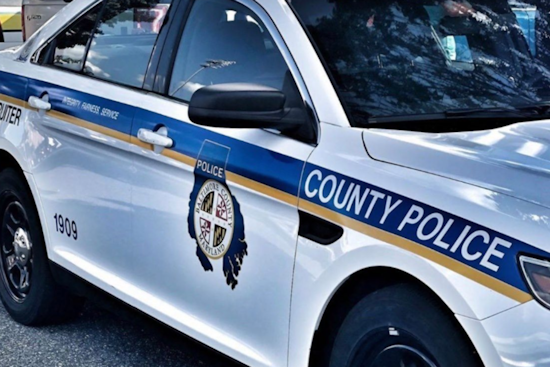 Baltimore County Police Warn Residents of Potential Scams During Storm Clean-Up