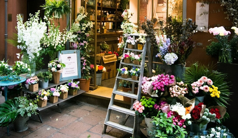 Bay Area and Phoenix Feel the Pinch as Flower Tariffs Bring Mother's Day, Prom Costs Up