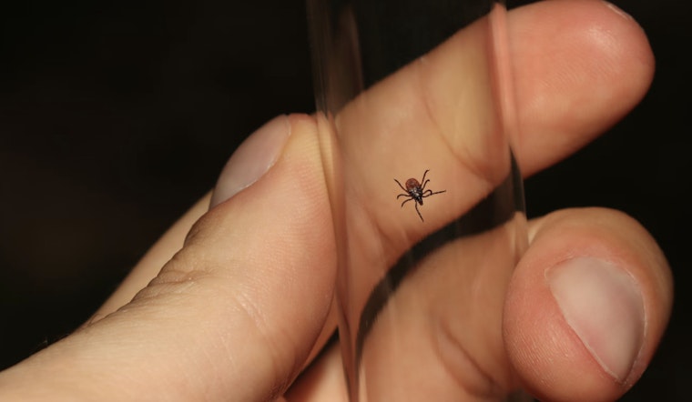 Bay Area and Upstate New York Face Early Surge in Tick Season, Increased Disease Risk Prompting Precautionary Measures