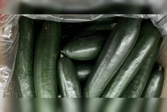 Bedner Growers' Cucumbers Spark Multi-State Outbreak, Prompting Urgent Recall in Michigan and Florida
