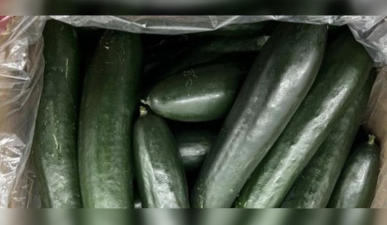 Bedner Growers' Cucumbers Spark Multi-State Outbreak, Prompting Urgent Recall in Michigan and Florida