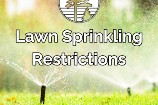 Blaine Implements Odd-Even Lawn Watering Restrictions to Preserve Water Resources