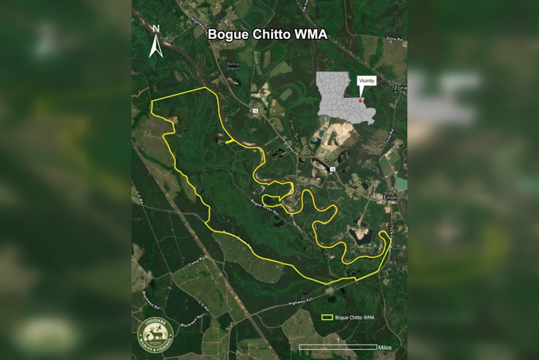 Bogue Chitto Wildlife Management Area Opens as New Conservation Haven in Washington Parish