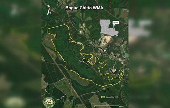 Bogue Chitto Wildlife Management Area Opens as New Conservation Haven in Washington Parish