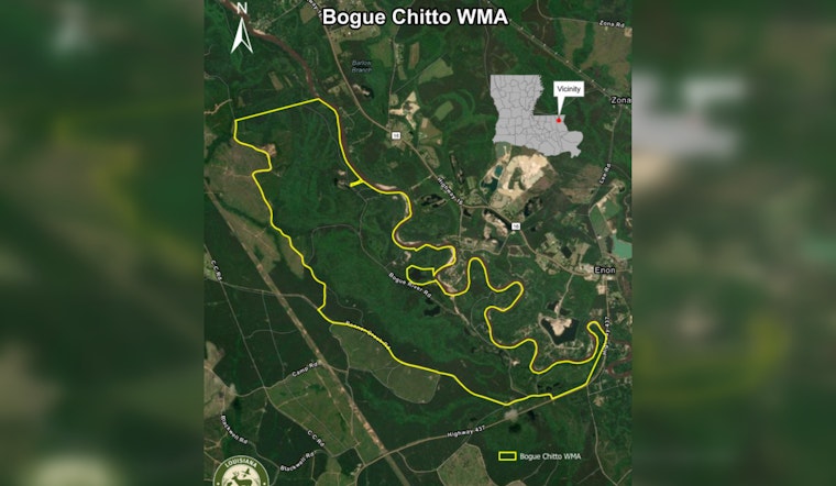 Bogue Chitto Wildlife Management Area Opens as New Conservation Haven in Washington Parish