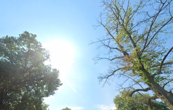 Boston Braces for Bright Mother's Day, Warm Week Ahead Despite Possible Showers