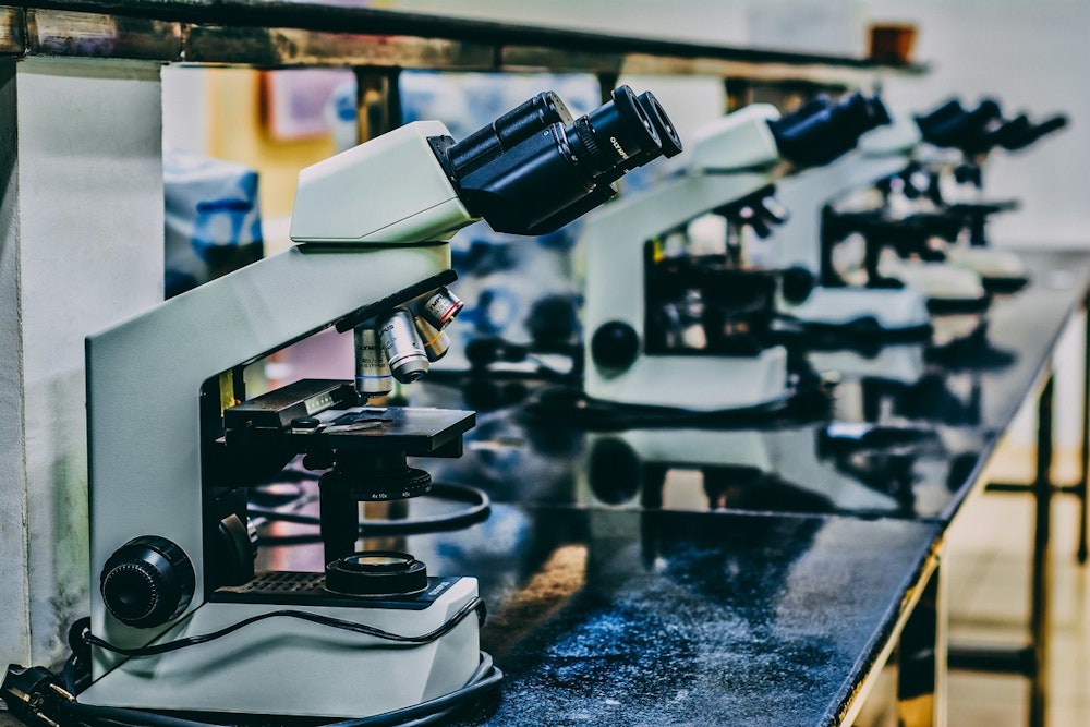 Boston City Council Adopts Resolution to Safeguard NIH Cancer Research Funding Amid Proposed Federal Cuts