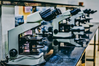 Boston City Council Adopts Resolution to Safeguard NIH Cancer Research Funding Amid Proposed Federal Cuts