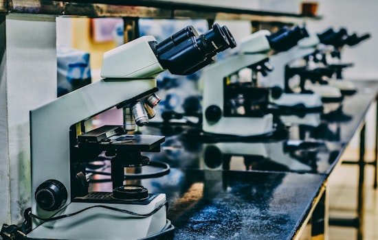 Boston City Council Adopts Resolution to Safeguard NIH Cancer Research Funding Amid Proposed Federal Cuts