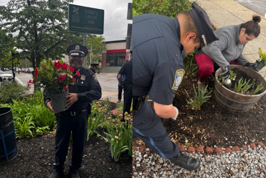 Boston Police and Locals Unite to Revitalize Robert Lawson Park in Jamaica Plain