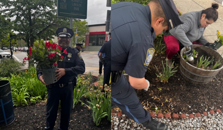 Boston Police and Locals Unite to Revitalize Robert Lawson Park in Jamaica Plain