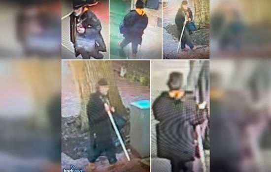 Boston Police Seek Public's Help to Identify Suspect in Traffic Light Vandalism Incidents Downtown