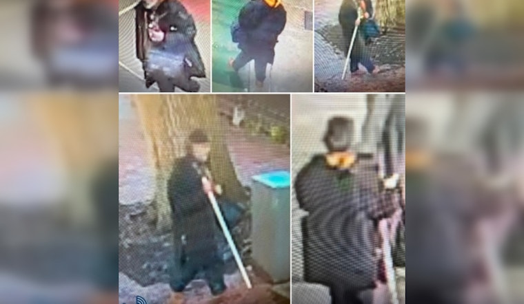 Boston Police Seek Public's Help to Identify Suspect in Traffic Light Vandalism Incidents Downtown