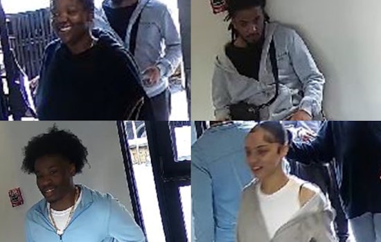 Boston Police Seek Public's Help to Identify Suspects in Roxbury Assault Case