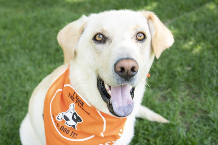 Boulder and Neighboring Counties Unite for "Let’s DOO It!" Event to Tackle Dog Waste in Public Spaces
