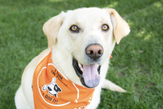 Boulder and Neighboring Counties Unite for "Let’s DOO It!" Event to Tackle Dog Waste in Public Spaces