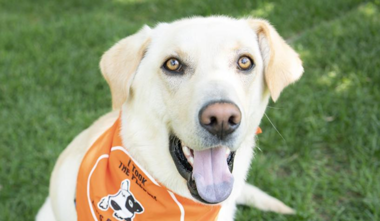 Boulder and Neighboring Counties Unite for "Let’s DOO It!" Event to Tackle Dog Waste in Public Spaces