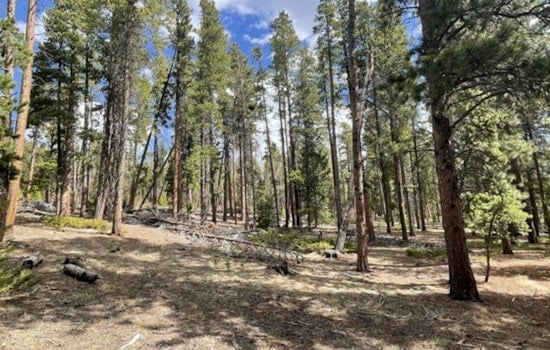 Boulder County Launches Community-Driven Wildfire Mitigation Project Near Nederland