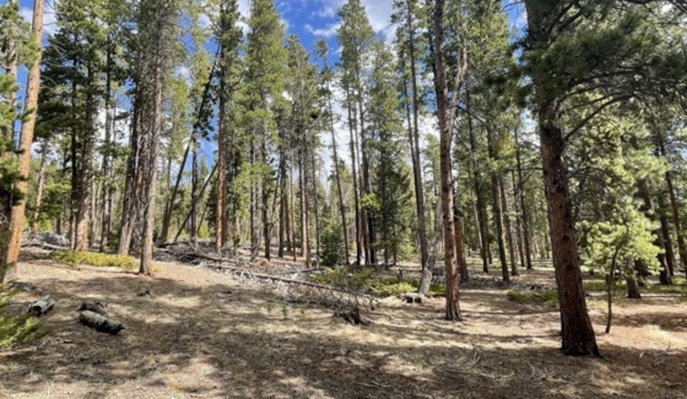 Boulder County Launches Community-Driven Wildfire Mitigation Project Near Nederland