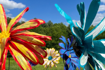 Boulder Unveils Experiments in Public Art Lecture Series Featuring Local and National Artists