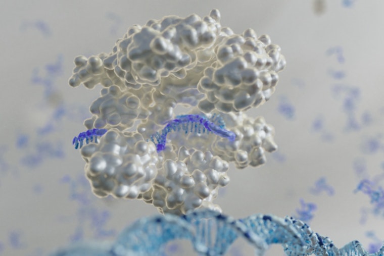 Breakthrough in Genetic Engineering, ORNL and University of Colorado Boulder Enhance Microbial Stress Responses for Biotech Applications