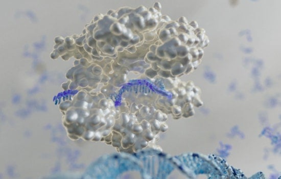 Breakthrough in Genetic Engineering, ORNL and University of Colorado Boulder Enhance Microbial Stress Responses for Biotech Applications