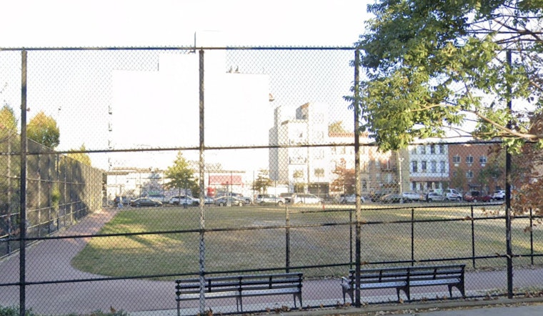 Brooklyn Boy Recovering After Pit Bull Attack at Local Park as Police Search for Dog Owner