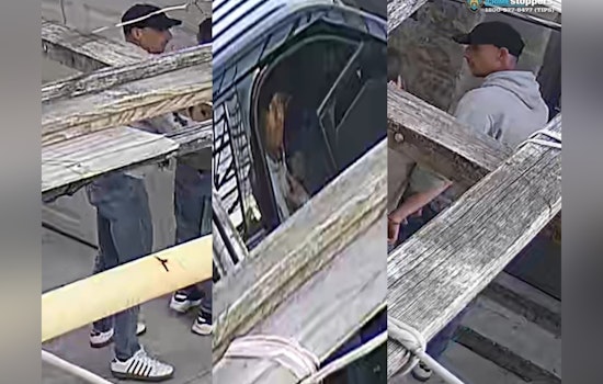 Brooklyn Community on Alert as NYPD Seeks Information on Daring Driveway Robbery Suspect