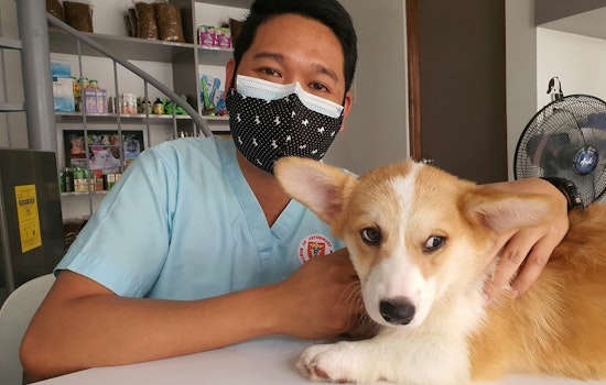 Brooklyn Park Community Strengthens with Low-Cost Pet Microchipping and Vaccination Event at Maple Grove PUPS Facility