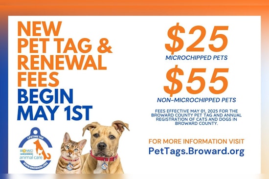 Broward County Updates Pet Registration Fees to Encourage Microchipping and Responsible Ownership