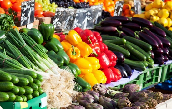 Bucks County Seniors to Benefit from Fresh Produce Vouchers Starting June 1