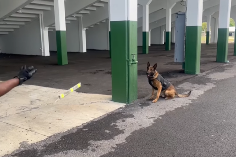 VIDEO: Butler County Sheriff's K-9 Radd Shines in Narcotics Detection Training Session