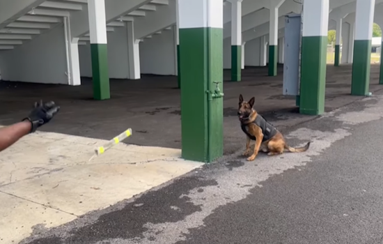 VIDEO: Butler County Sheriff's K-9 Radd Shines in Narcotics Detection Training Session