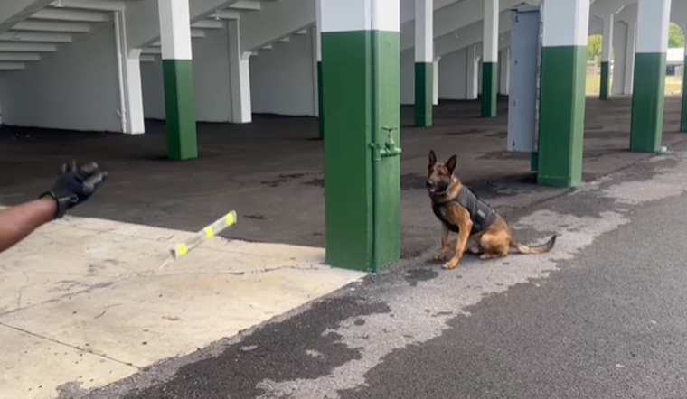 VIDEO: Butler County Sheriff's K-9 Radd Shines in Narcotics Detection Training Session