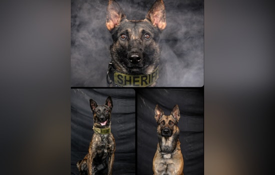 Cabarrus County Sheriff's Office Salutes K9 Units for Their Key Role in Public Safety During National Police Week