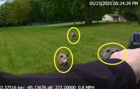 Calhoun County Deputy Fatally Shoots Charging Dog in Pennfield Township, Investigation Underway
