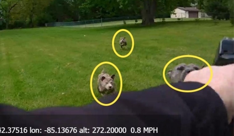 Calhoun County Deputy Fatally Shoots Charging Dog in Pennfield Township, Investigation Underway