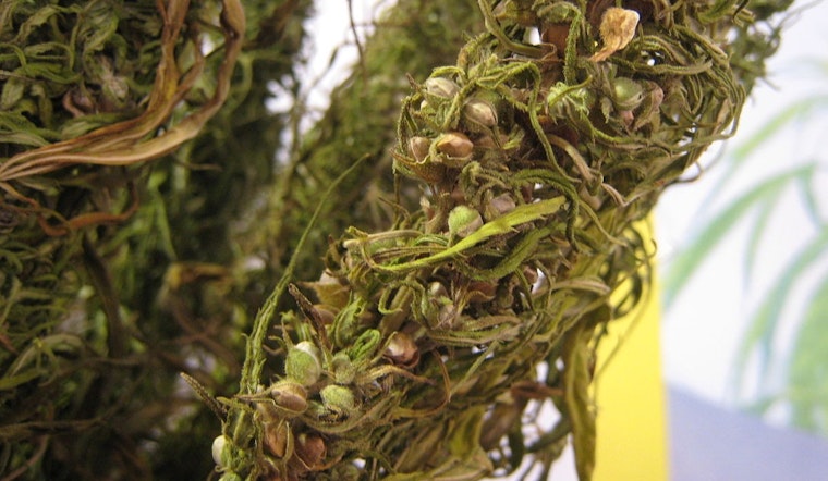 California Businesses Show Overwhelming Compliance with Intoxicating Hemp Product Ban, Reports Governor Newsom